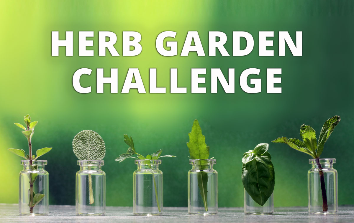 the great gardening challenge netflix