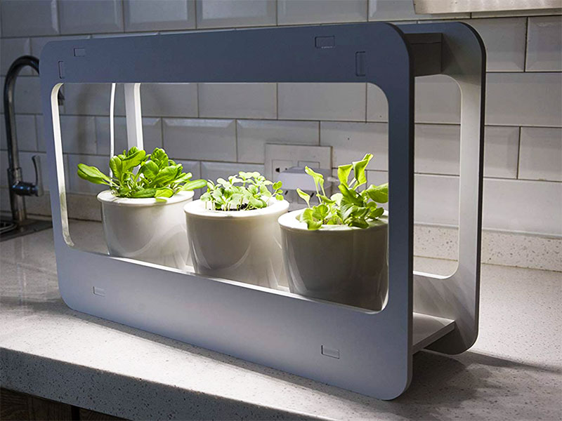 Smartware Herb Garden Growing Light 2 With Timer Indoor Herbs 1 